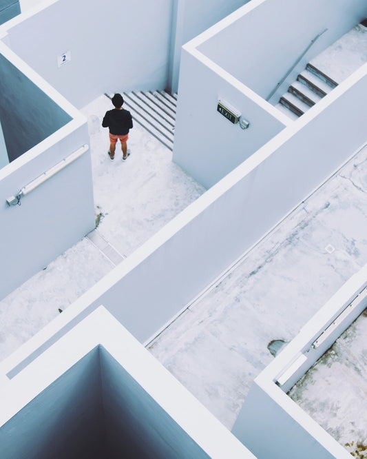 Lessons From Visualization